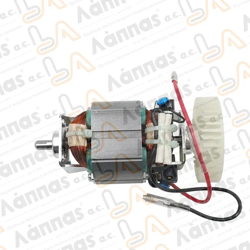 IB220EV-10 Motor